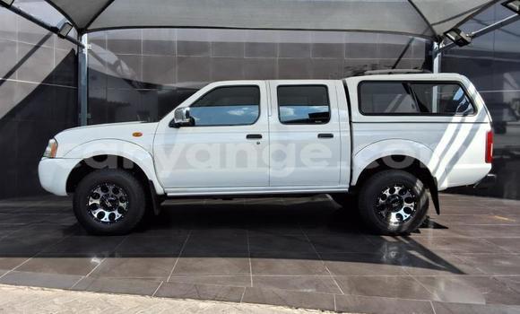 Buy Used Nissan Hardbody White Car in Gobabis in Omaheke Buy Used Nissan Hardbody White Car in Gobabis in Omaheke