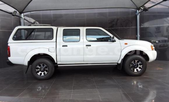 Buy Used Nissan Hardbody White Car in Gobabis in Omaheke Buy Used Nissan Hardbody White Car in Gobabis in Omaheke