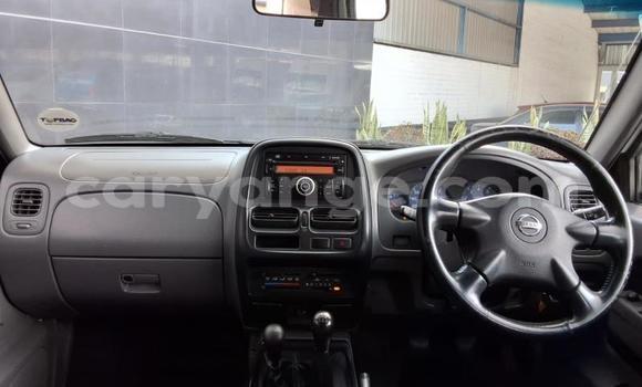 Buy Used Nissan Hardbody White Car in Gobabis in Omaheke Buy Used Nissan Hardbody White Car in Gobabis in Omaheke