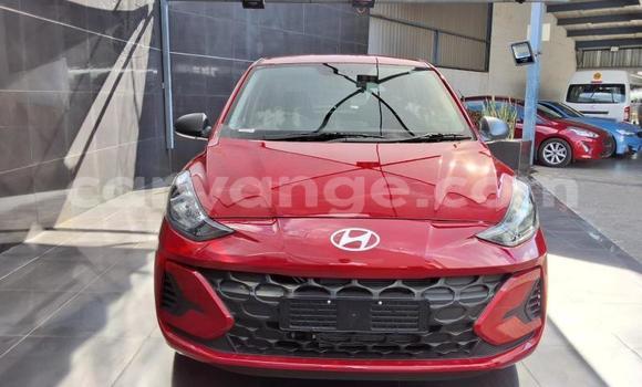 Buy Used Hyundai i10 Red Car in Gobabis in Omaheke