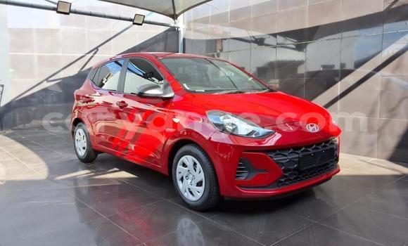 Buy Used Hyundai i10 Red Car in Gobabis in Omaheke Buy Used Hyundai i10 Red Car in Gobabis in Omaheke