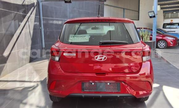 Buy Used Hyundai i10 Red Car in Gobabis in Omaheke Buy Used Hyundai i10 Red Car in Gobabis in Omaheke