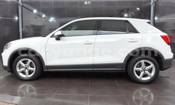 Buy Used Audi Q2 White Car in Gobabis in Omaheke Buy Used Audi Q2 White Car in Gobabis in Omaheke