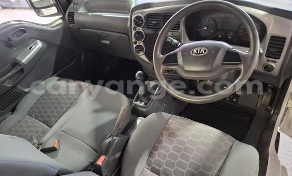Buy Used Kia K7 White Car in Windhoek in Namibia Buy Used Kia K7 White Car in Windhoek in Namibia