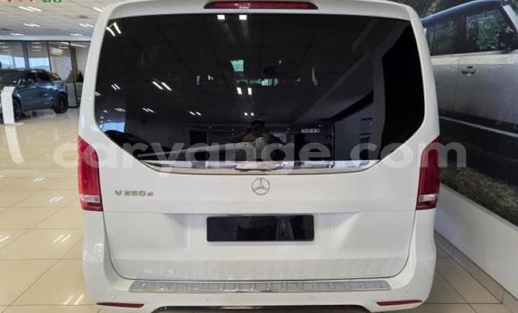 Acheter Occasion Voiture Mercedes-Benz V-klasse Blanc à Gobabis, Omaheke Acheter Occasion Voiture Mercedes-Benz V-klasse Blanc à Gobabis, Omaheke