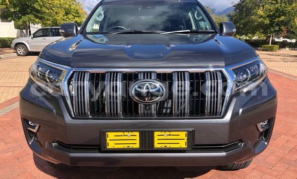 Buy Used Toyota Land Cruiser Prado Other Car in Gobabis in Omaheke