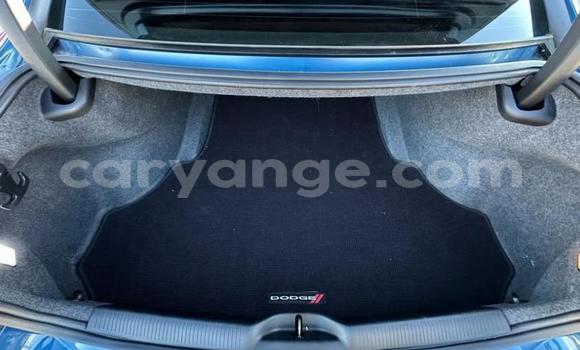 Buy Used Dodge Charger Blue Car in Windhoek in Namibia Buy Used Dodge Charger Blue Car in Windhoek in Namibia