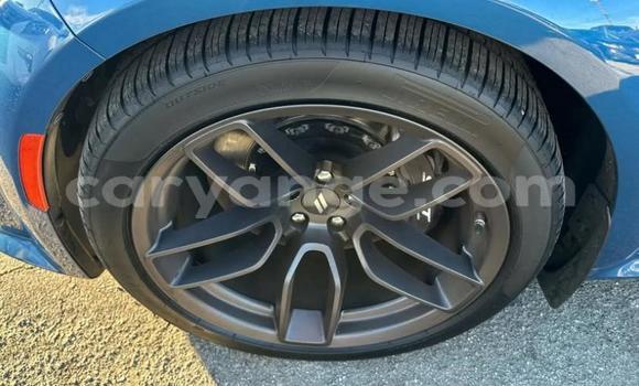 Buy Used Dodge Charger Blue Car in Windhoek in Namibia Buy Used Dodge Charger Blue Car in Windhoek in Namibia