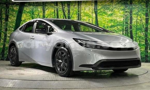 Buy Used Toyota Prius Silver Car in Windhoek in Namibia