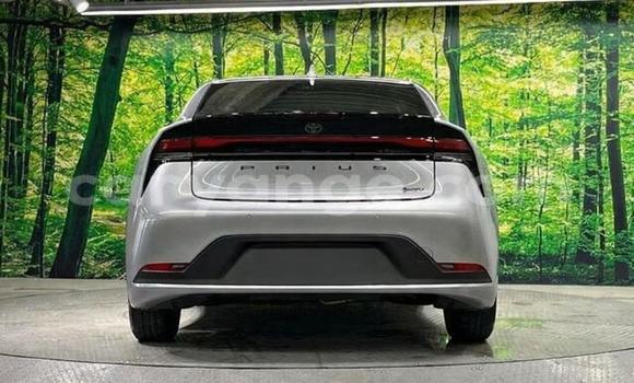 Buy Used Toyota Prius Silver Car in Windhoek in Namibia Buy Used Toyota Prius Silver Car in Windhoek in Namibia