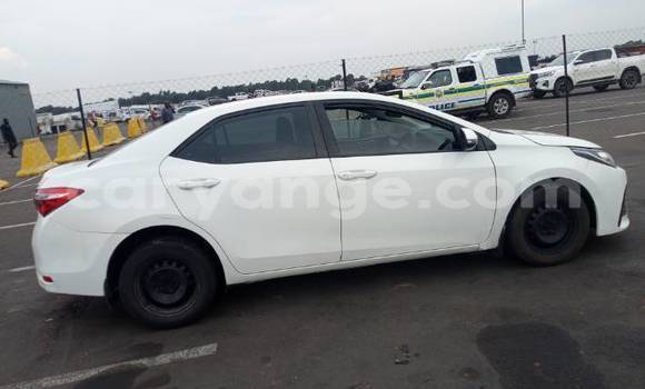 Buy Used Toyota Corolla White Car in Gobabis in Omaheke Buy Used Toyota Corolla White Car in Gobabis in Omaheke