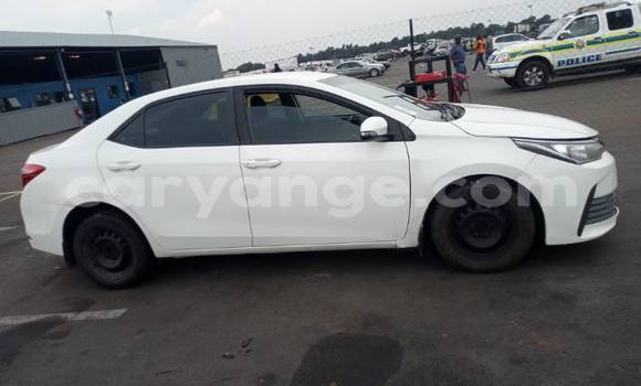 Buy Used Toyota Corolla White Car in Gobabis in Omaheke Buy Used Toyota Corolla White Car in Gobabis in Omaheke