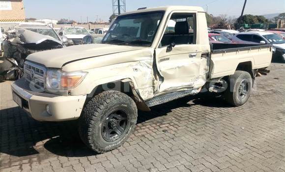 Buy Used Toyota Land Cruiser Brown Car in Rundu in Namibia