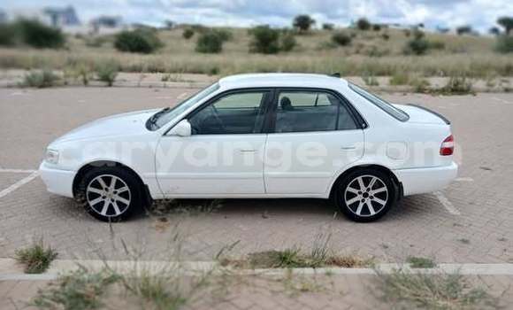 Buy Used Toyota Corolla Other Car in Windhoek in Namibia Buy Used Toyota Corolla Other Car in Windhoek in Namibia