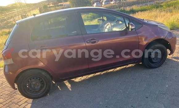 Buy Used Toyota Vitz Other Car in Windhoek in Namibia Buy Used Toyota Vitz Other Car in Windhoek in Namibia