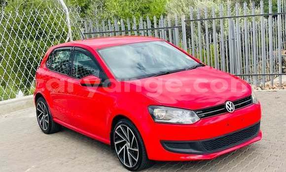 Buy Used Volkswagen Polo Red Car in Windhoek in Namibia