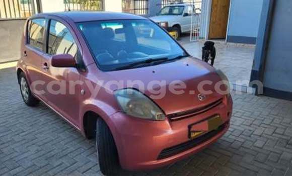 Buy Used Toyota Passo Other Car in Windhoek in Namibia