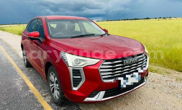 Buy Used Haval Jolion Red Car in Oshakati in Namibia