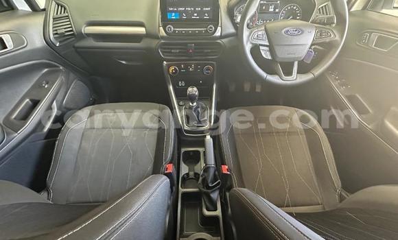 Buy Used Ford EcoSport White Car in Gobabis in Omaheke Buy Used Ford EcoSport White Car in Gobabis in Omaheke