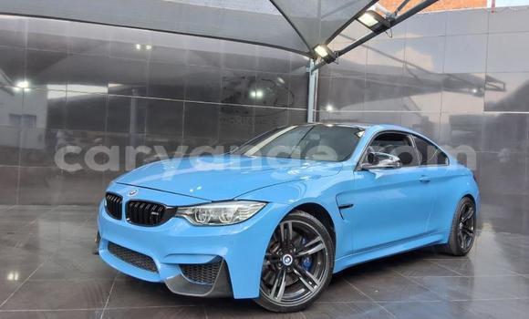 Buy Used BMW M4 Blue Car in Windhoek in Namibia Buy Used BMW M4 Blue Car in Windhoek in Namibia