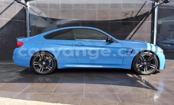 Buy Used BMW M4 Blue Car in Windhoek in Namibia Buy Used BMW M4 Blue Car in Windhoek in Namibia