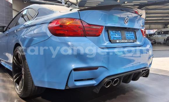 Buy Used BMW M4 Blue Car in Windhoek in Namibia Buy Used BMW M4 Blue Car in Windhoek in Namibia