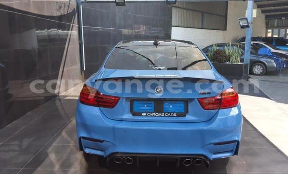 Buy Used BMW M4 Blue Car in Windhoek in Namibia Buy Used BMW M4 Blue Car in Windhoek in Namibia
