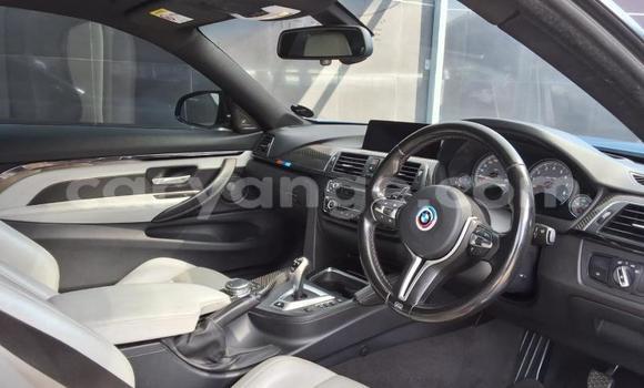 Buy Used BMW M4 Blue Car in Windhoek in Namibia Buy Used BMW M4 Blue Car in Windhoek in Namibia
