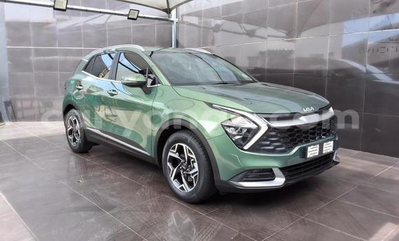 Buy Used Kia Sportage Green Car in Katima Mulilo in Caprivi Buy Used Kia Sportage Green Car in Katima Mulilo in Caprivi