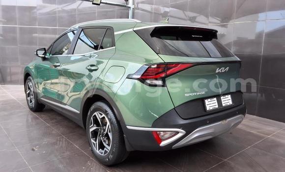 Buy Used Kia Sportage Green Car in Katima Mulilo in Caprivi Buy Used Kia Sportage Green Car in Katima Mulilo in Caprivi