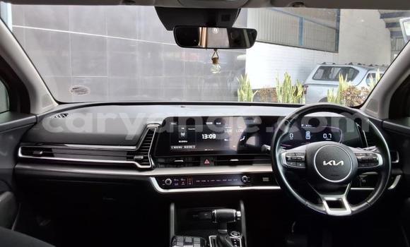 Buy Used Kia Sportage Green Car in Katima Mulilo in Caprivi Buy Used Kia Sportage Green Car in Katima Mulilo in Caprivi