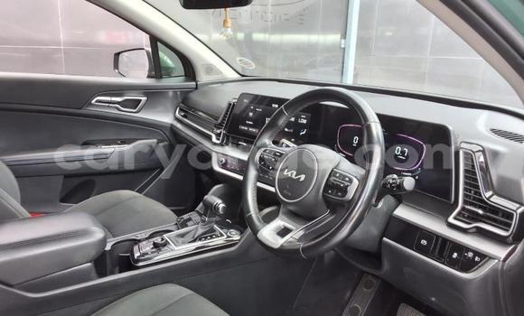 Buy Used Kia Sportage Green Car in Katima Mulilo in Caprivi Buy Used Kia Sportage Green Car in Katima Mulilo in Caprivi