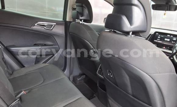 Buy Used Kia Sportage Green Car in Katima Mulilo in Caprivi Buy Used Kia Sportage Green Car in Katima Mulilo in Caprivi