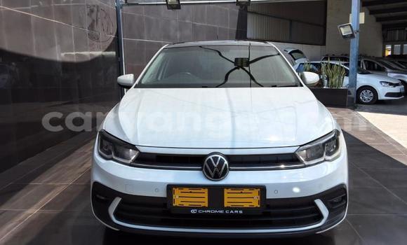 Buy Used Volkswagen Polo White Car in Windhoek in Namibia
