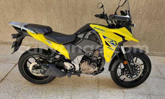 Buy Used Suzuki V-Strom Beige Bike in Windhoek in Namibia