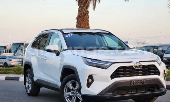 Buy Used Toyota RAV4 White Car in Windhoek in Namibia