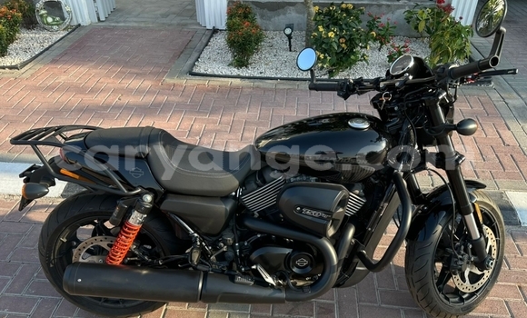 Buy Used Harley Davidson Street Black Bike in Windhoek in Namibia