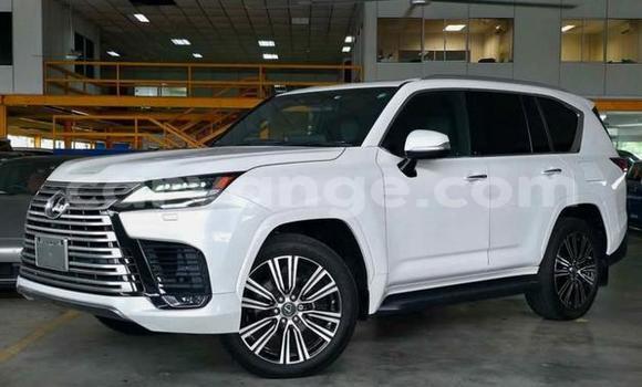 Buy Used Lexus LX White Car in Windhoek in Namibia