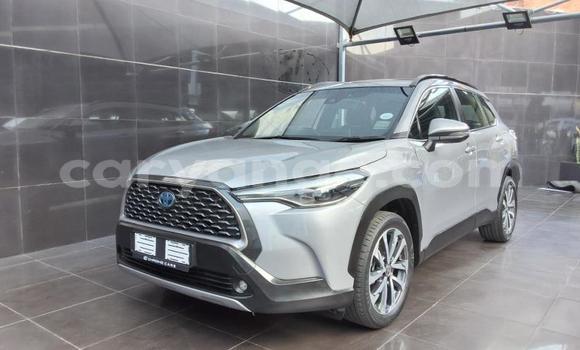 Buy Used Toyota Corolla Cross Silver Car in Gobabis in Omaheke