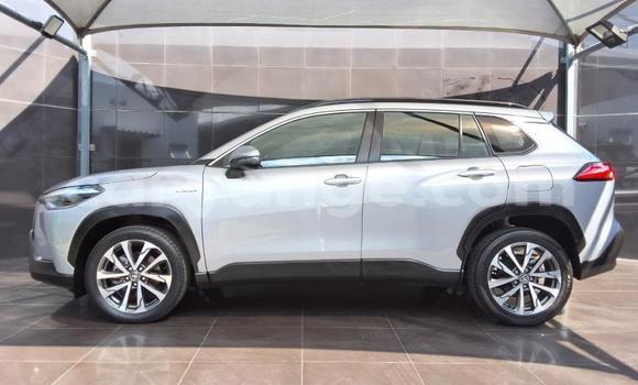 Buy Used Toyota Corolla Cross Silver Car in Gobabis in Omaheke Buy Used Toyota Corolla Cross Silver Car in Gobabis in Omaheke