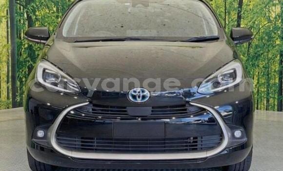 Buy Used Toyota Aqua Black Car in Windhoek in Namibia Buy Used Toyota Aqua Black Car in Windhoek in Namibia