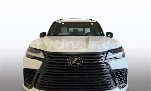 Buy Used Lexus LX White Car in Windhoek in Namibia