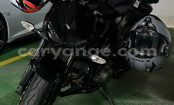 Buy Used Kawasaki Z 1000 Black Bike in Windhoek in Namibia
