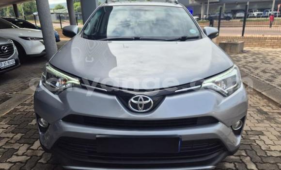 Buy Used Toyota RAV4 Silver Car in Gobabis in Omaheke