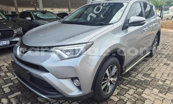 Buy Used Toyota RAV4 Silver Car in Gobabis in Omaheke Buy Used Toyota RAV4 Silver Car in Gobabis in Omaheke