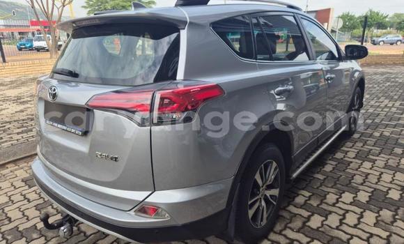 Buy Used Toyota RAV4 Silver Car in Gobabis in Omaheke Buy Used Toyota RAV4 Silver Car in Gobabis in Omaheke