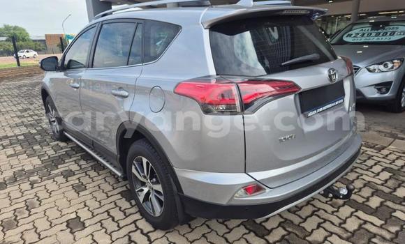 Buy Used Toyota RAV4 Silver Car in Gobabis in Omaheke Buy Used Toyota RAV4 Silver Car in Gobabis in Omaheke