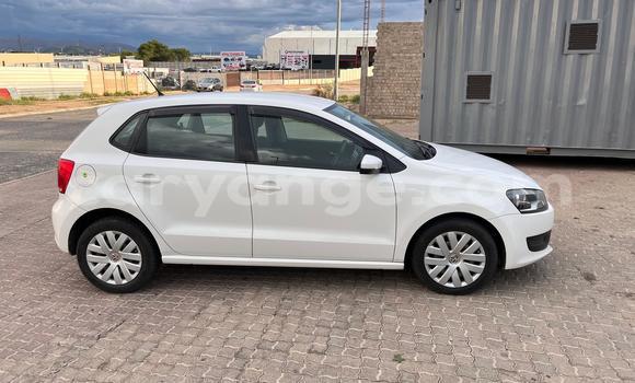 Buy Import Volkswagen Polo White Car in Windhoek in Namibia