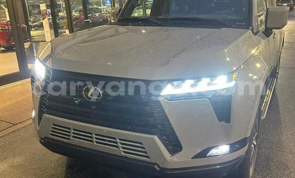 Buy Used Lexus GX White Car in Windhoek in Namibia