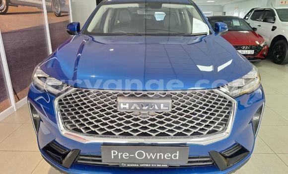 Buy Used Haval H6 Blue Car in Gobabis in Omaheke